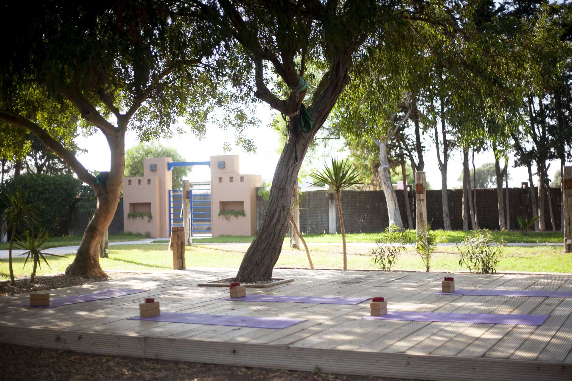 yoga covid free