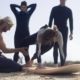 Mejorar surf en la arena