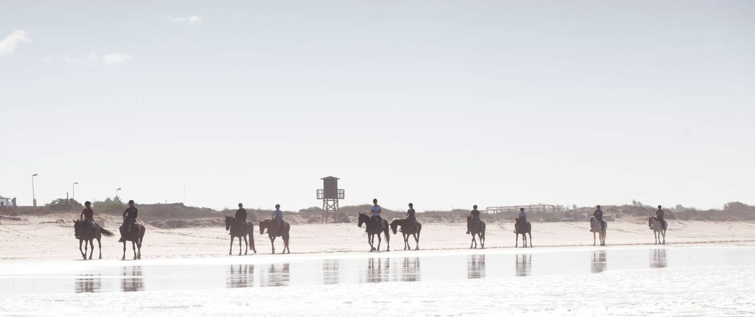 paseo a caballo por la playa