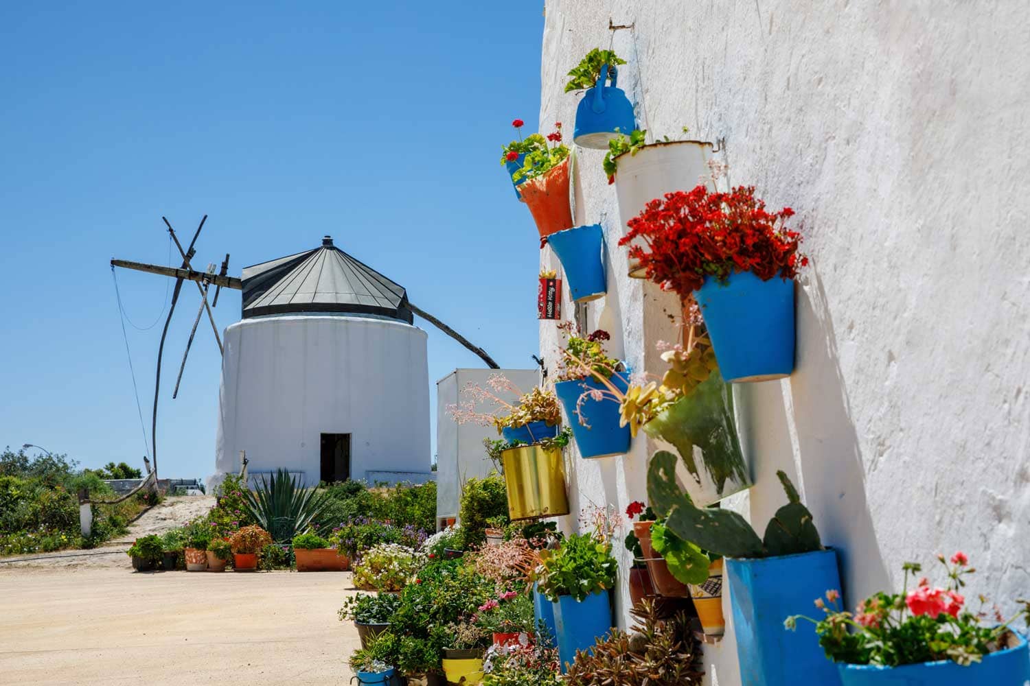 Molino de Vejer