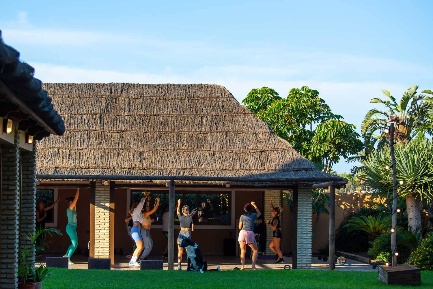 Chozo Nexo Surfhouse