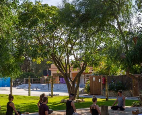 Retiro de yoga en jardín 2