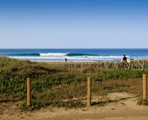 playa el Palmar