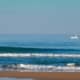 surf ola sencilla