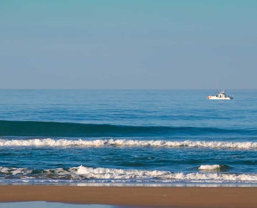 surf ola sencilla