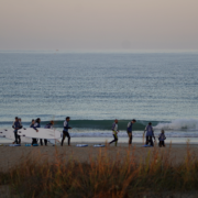 Surfcamp en El Palmar con grupo de surfistas entrenando en la orilla mientras otros esperan olas en el mar.