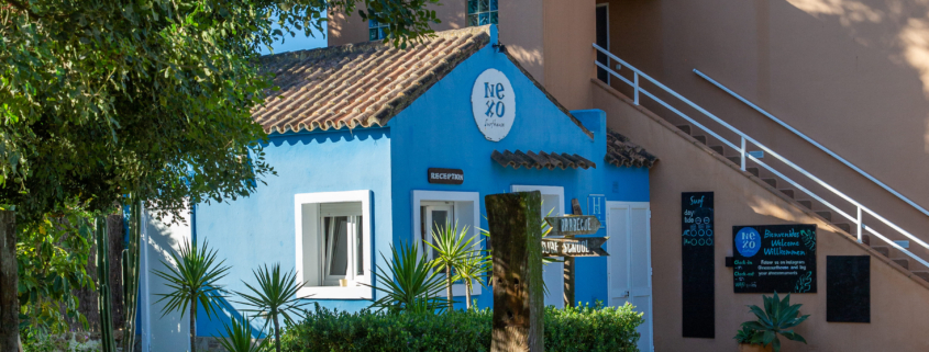 Surf camp para adultos en Cádiz