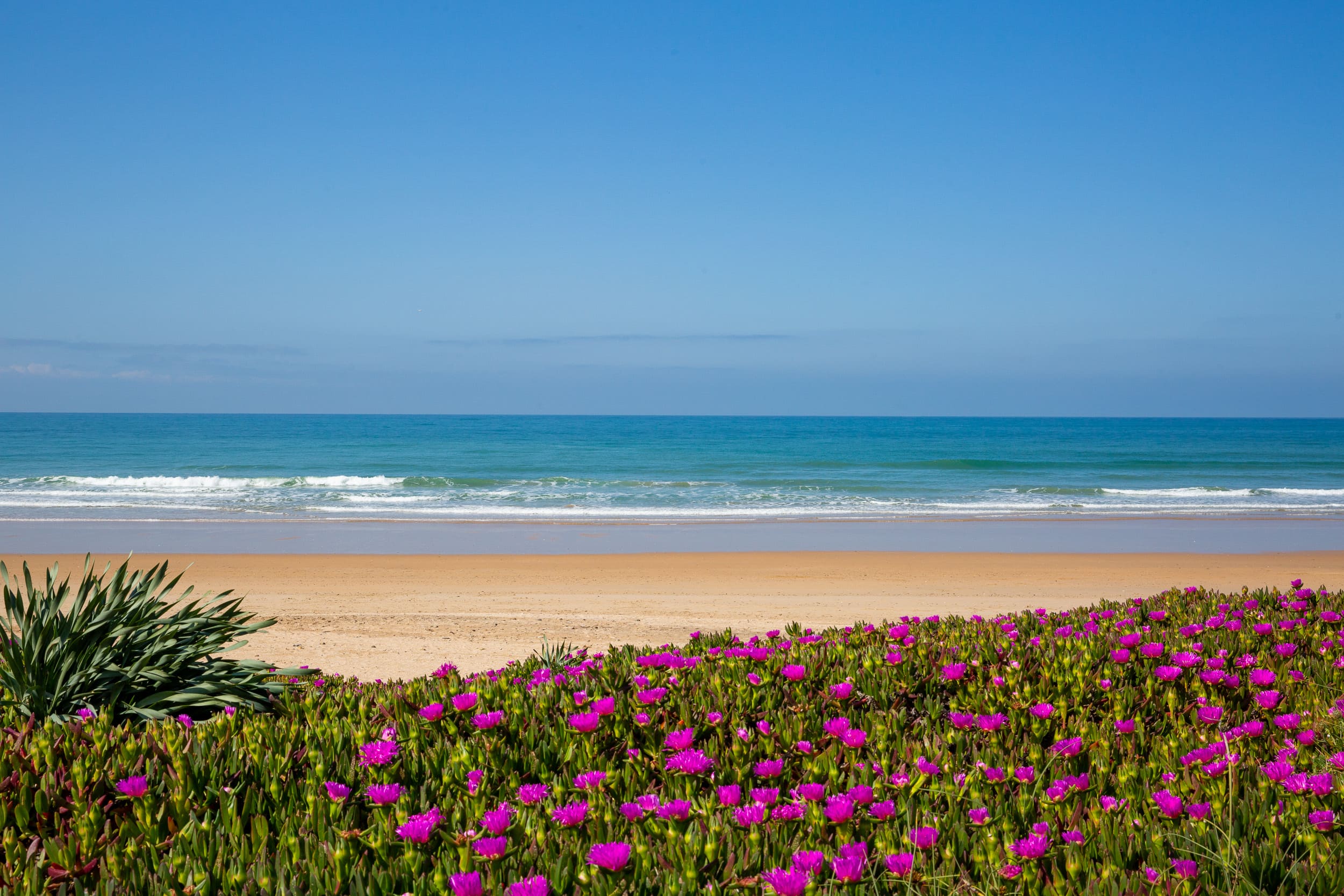 El Palmar Cádiz verano playa Costa de la Luz